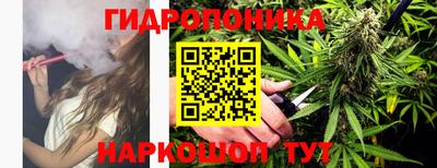 Альфа ПВП Нальчик